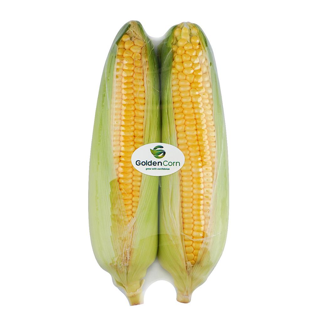 AA 本地精选玉米 SUGARKING Sweet Corn