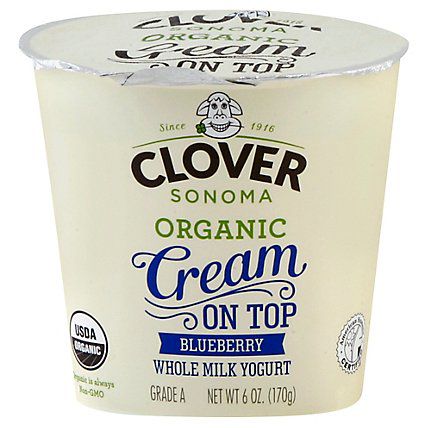 Clover ORG Cream on Top Blueberry 170g