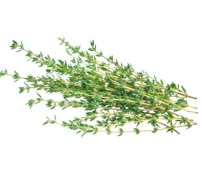 新鲜百里香 Fresh Thyme Leaves 20gm+-