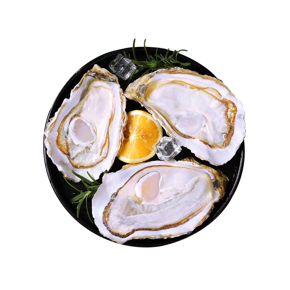 日本特级生蚝Oyster 3pcs