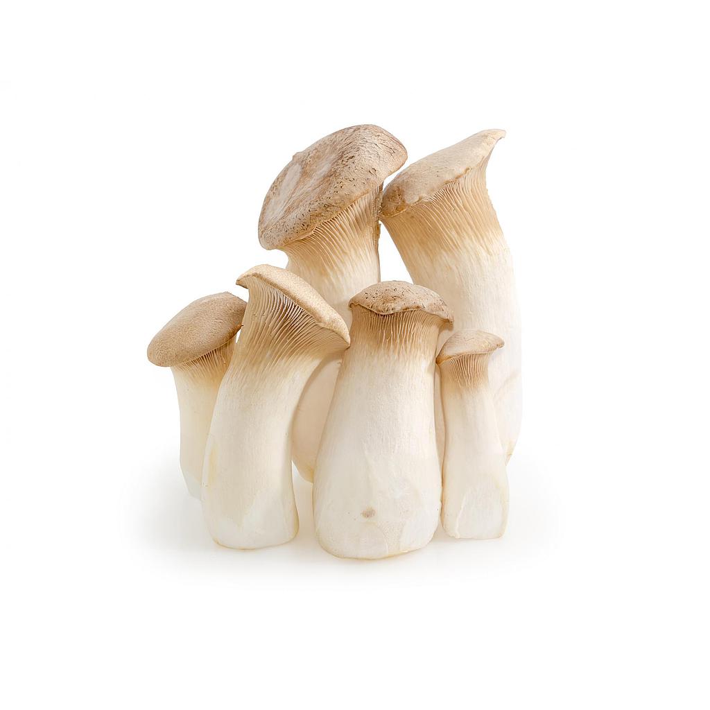杏鲍菇 King Oyster Mushroom 200g