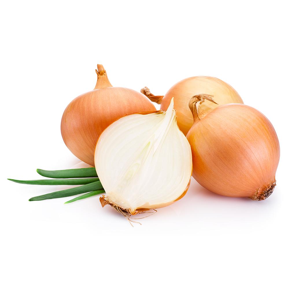 洋葱 ≈500g