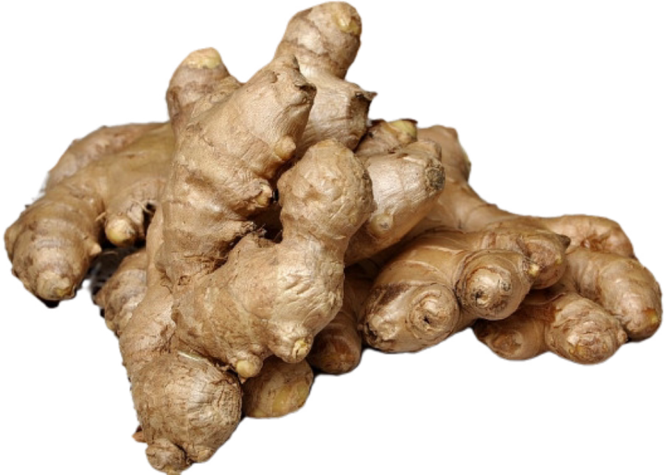 特级老姜 ≈300g+