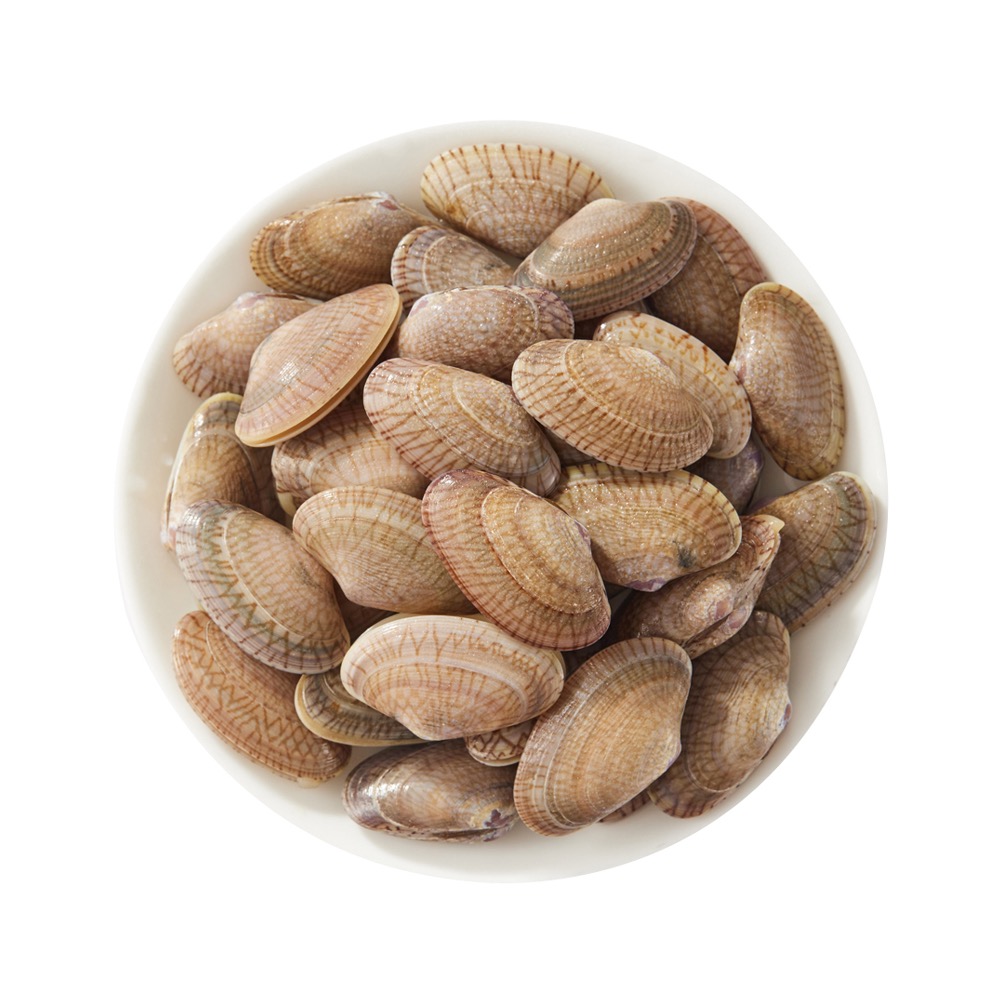 蓝啦啦 Clam 500g (26-30粒)