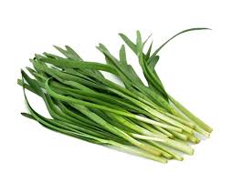 韭菜 Fresh Chives ≈100g