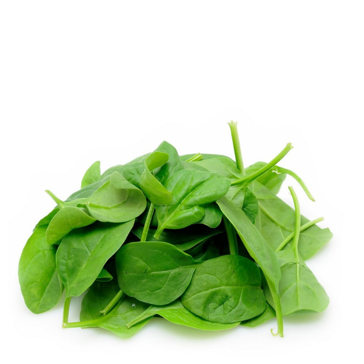 菠菜苗 Baby Spinach 100gm+-
